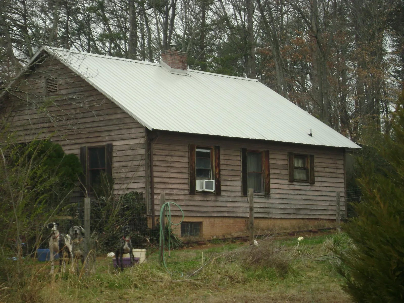 White metal roof on an old wood sided farmhouse, from a Asphalt Shingle Roof Repair job in Randalia